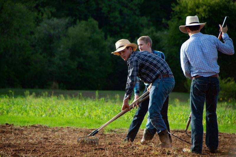 定期メンテナンス